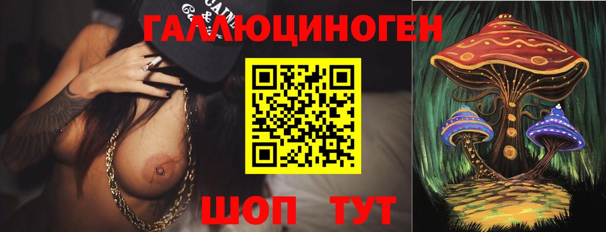 Галлюциногенные грибы Psilocybine cubensis Аргун