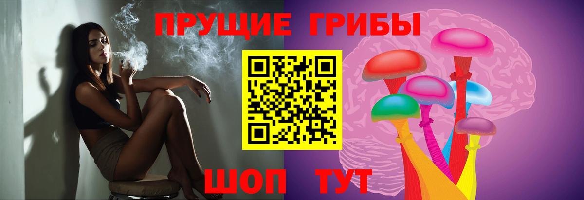 Аргун  Псилоцибиновые грибы Magic Shrooms  сколько стоит  Вход с VPN 